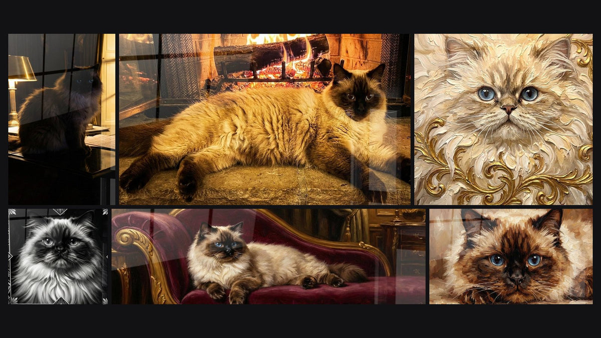 Mosaïque de six tableaux, dont Chat Himalayan Élégant et Chat Himalayan Portrait Noir et Blanc