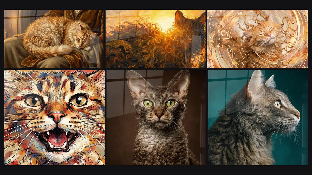 Mosaic of six paintings, including Sleeping LaPerm Cat, Expressive Laperm Cat and LaPerm Cat Portrait Profile