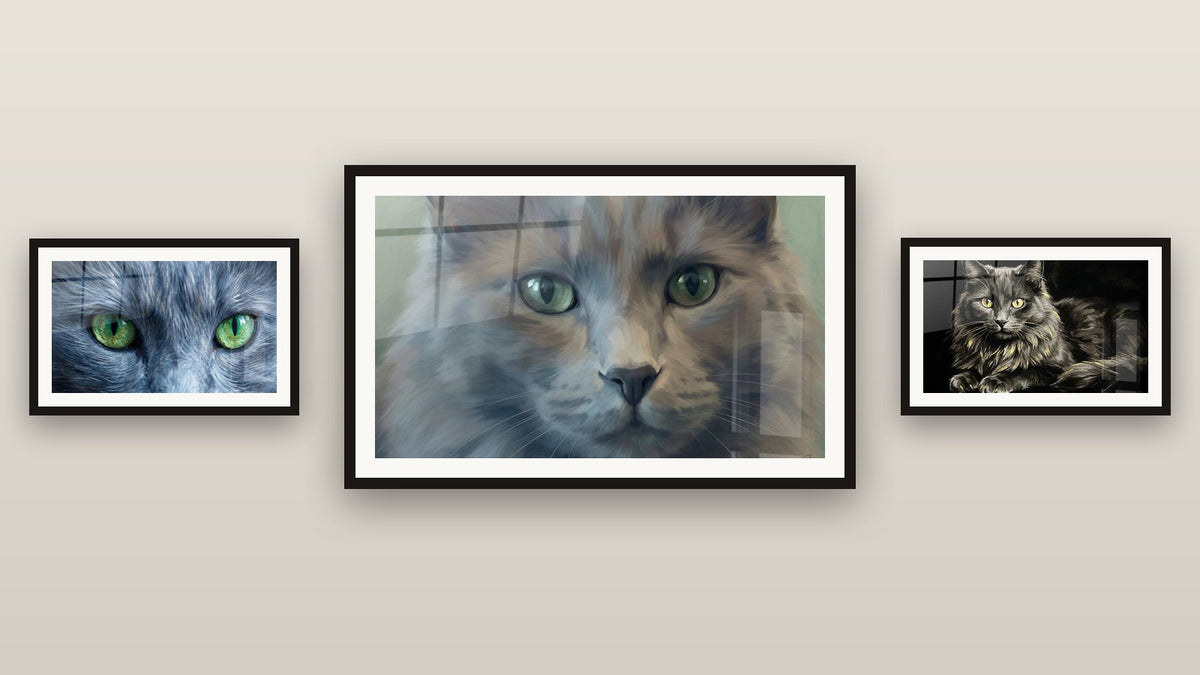 Pared de galería con tres cuadros enmarcados, entre ellos Gato Nebelung de Ojos Verdes y Gato Nebelung con Ojos Dorados