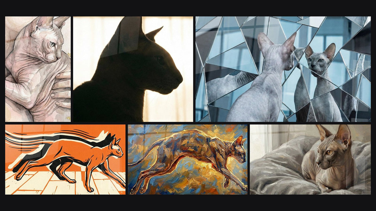 Mosaïque de six tableaux, dont Chat Peterbald Aquarelle, Chat Silhouette Fenêtre et Chat Peterbald Miroir Brisé