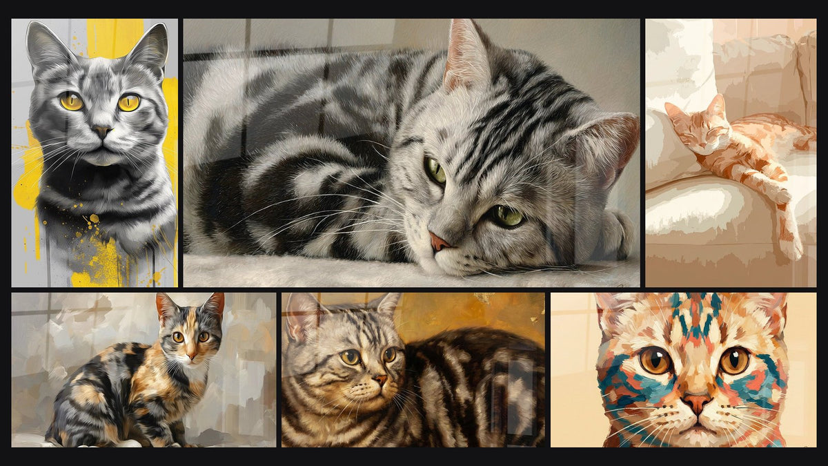 Mosaïque de six tableaux, dont Chat American Shorthair Yeux Dorés et Chat American Shorthair allongé