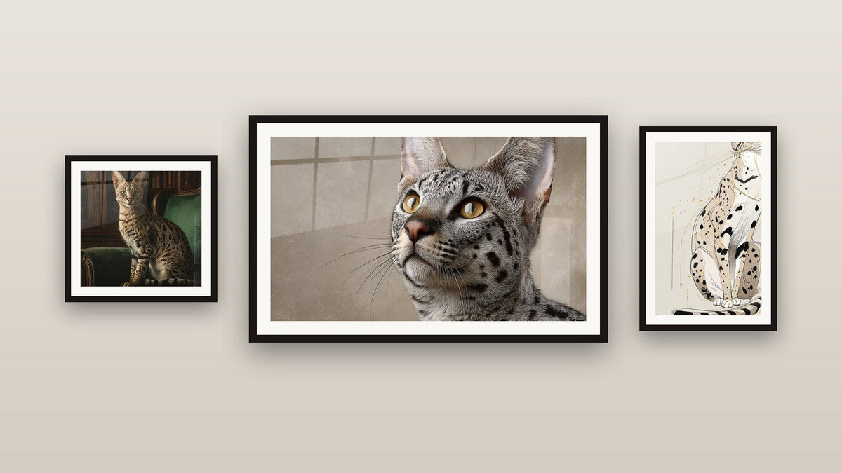 Mur de galerie avec trois tableaux encadrés, dont Chat Savannah Assis et Chat Savannah Majestueux