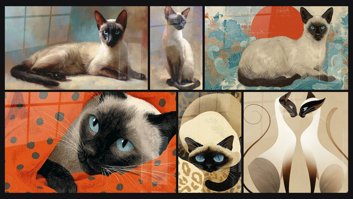 Mosaïque de six tableaux, dont Chat Siamois Allongé, Chat Siamois aux yeux bleus et Chat Siamois Léopard