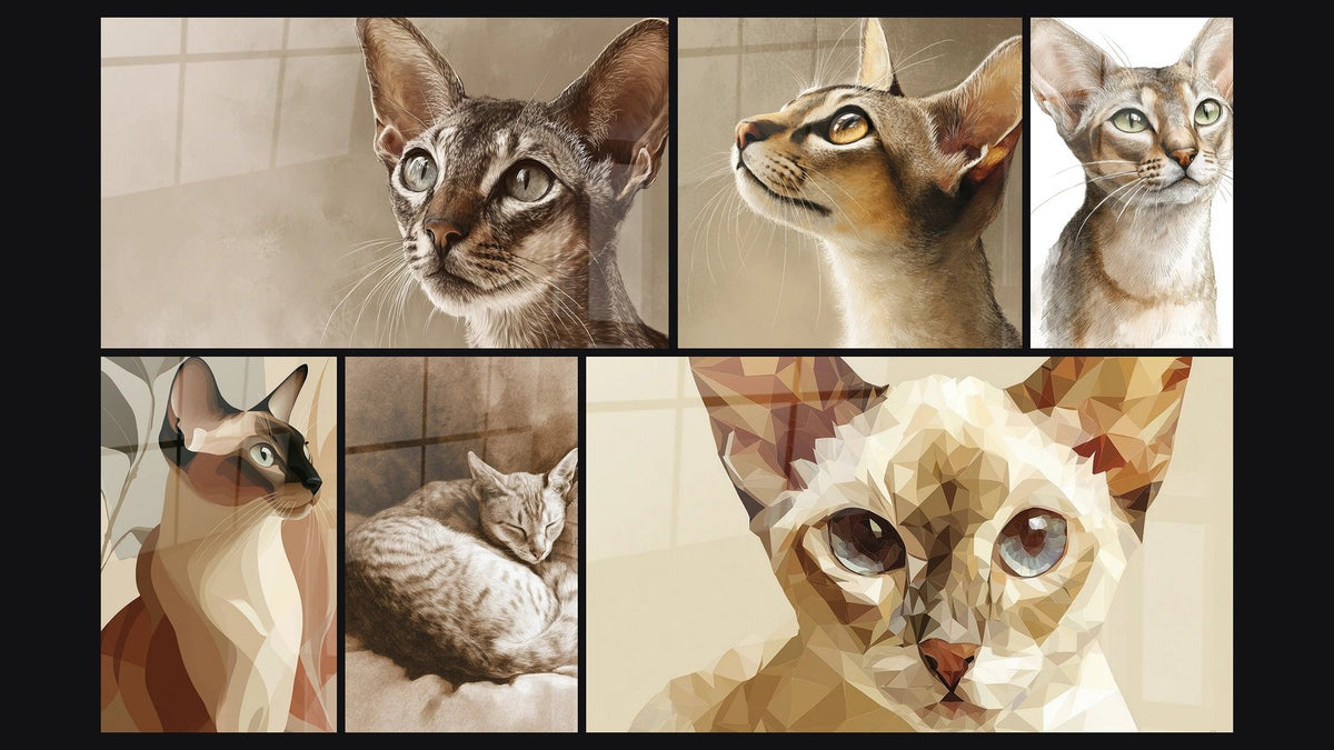 Mosaïque de six tableaux, dont Chat Singapura Portrait Réaliste, Chat Singapura Abstrait et Chat Singapura Endormi