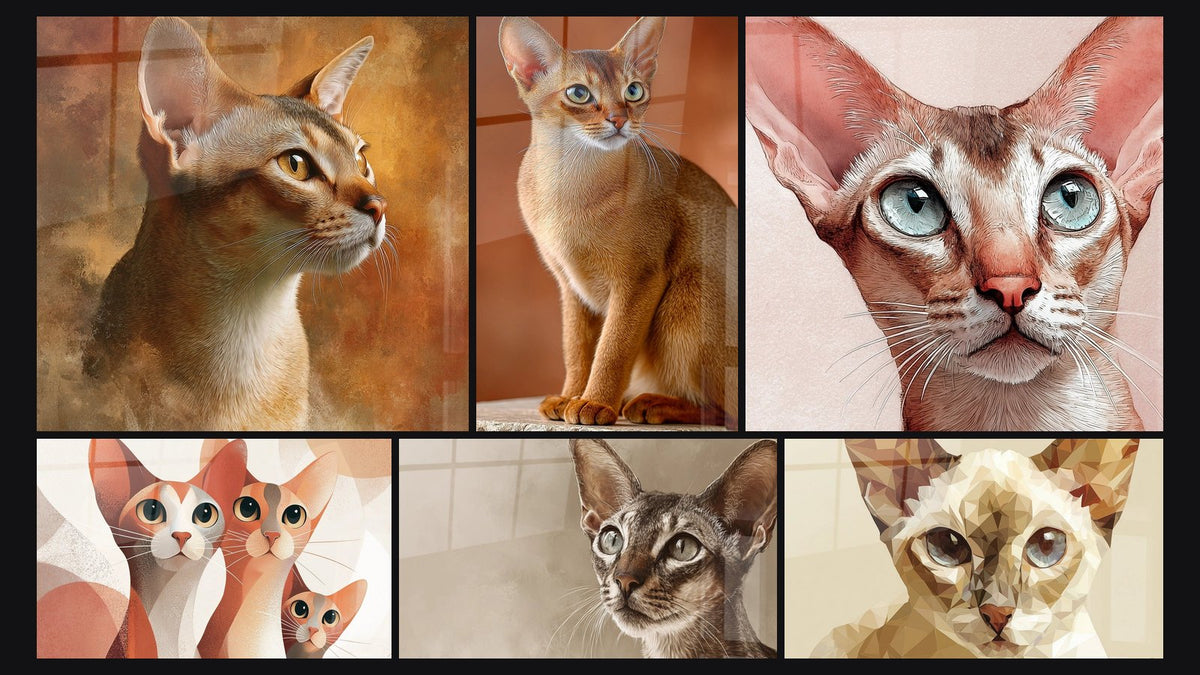 Mosaïque de six tableaux, dont Chat Singapura Portrait et Famille de Chats Singapura Géométrique