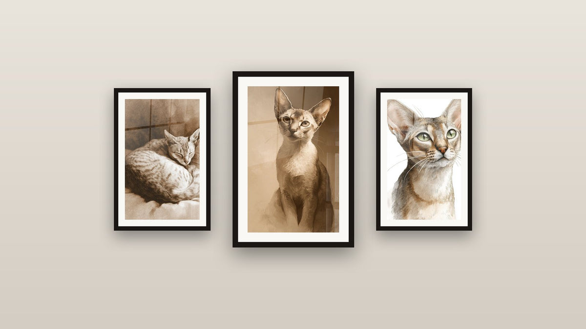 Galerijwand met drie ingelijste schilderijen: Slapende Kat Singapura, Kat Singapura Zittend en Portret Siamese Kat