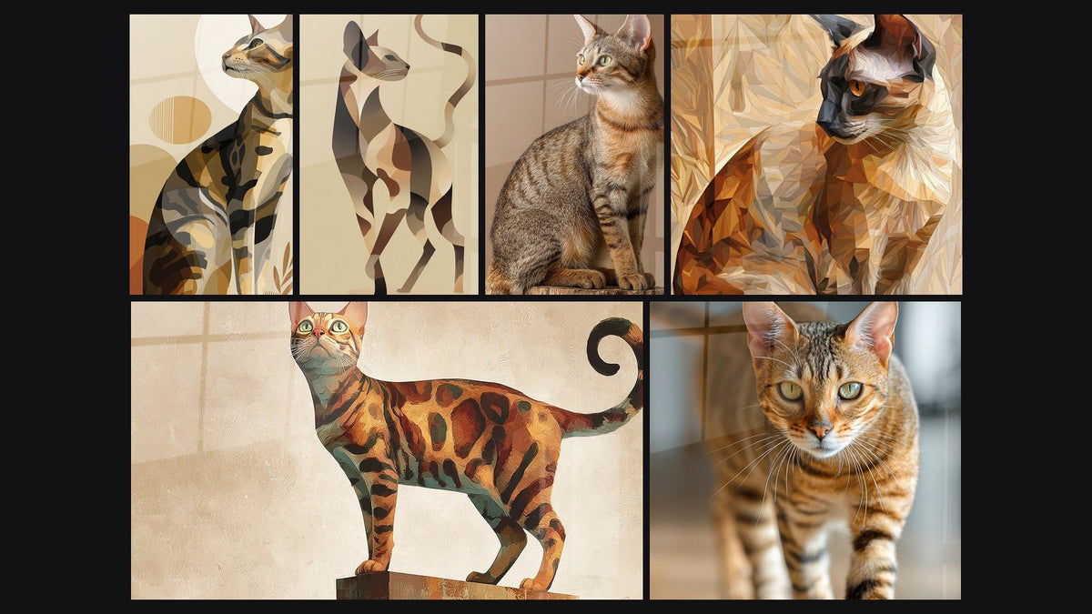 Mosaïque de six tableaux, dont Chat Sokoke Géométrique, Chat Géométrique et Chat Sokoke Assis