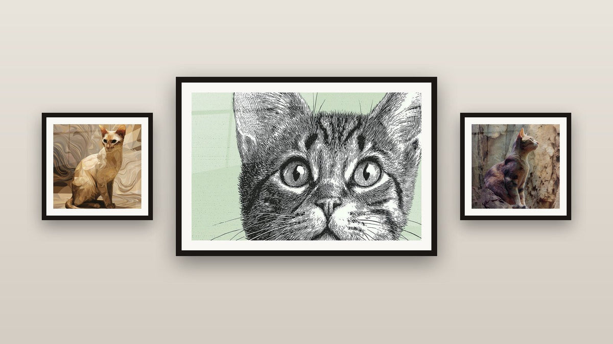 Gallery wall with three framed paintings: Sokoke Cat Vintage Portrait, Sokoke Cat Polygonal and Sokoke Cat