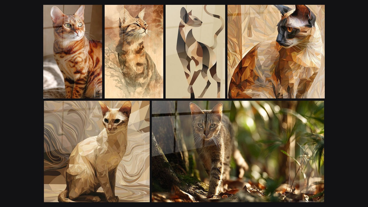 Mosaïque de six tableaux, dont Chat Sokoke Portrait, Chat Sokoke Watercolor et Chat Géométrique