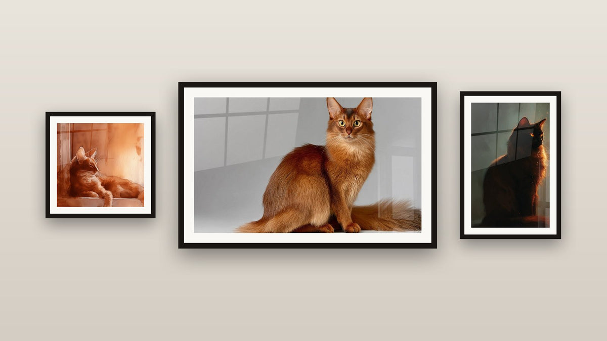 Mur de galerie avec trois tableaux encadrés, dont Chat Somali Aquarelle et Chat Somali Silhouette Dorée