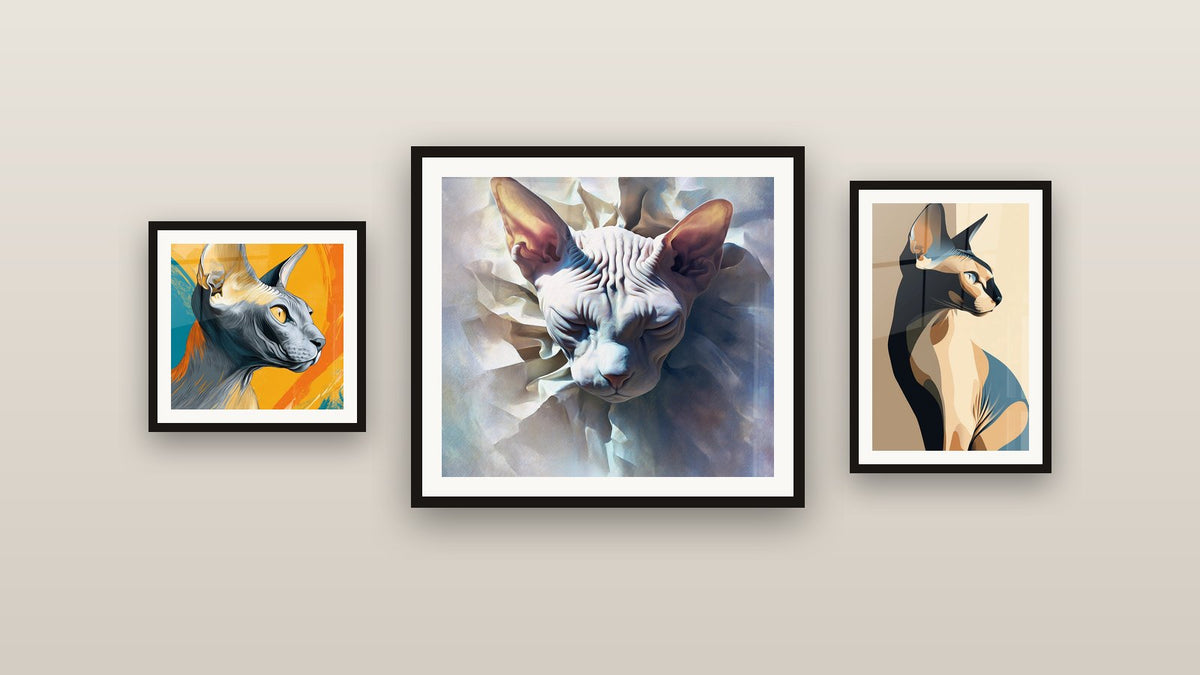 Mur de galerie avec trois tableaux encadrés : Chat Sphynx Portrait, Chat Sphynx Profil et Chat Sphynx Artistique