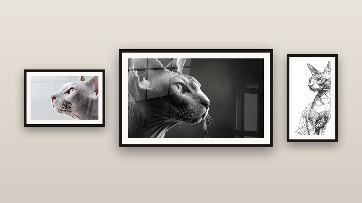 Pared de galería con tres cuadros enmarcados: Gato Esfinge Boceto, Gato Esfinge Perfil y Gato Esfinge Retrato Mirada Azul