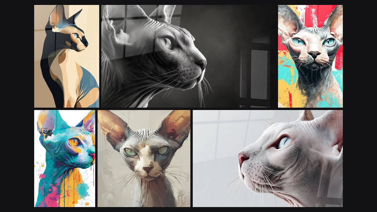 Mosaik aus sechs Gemälden, darunter Sphynx-Katzen-Porträt und Sphynx-Katzen Pop-Art