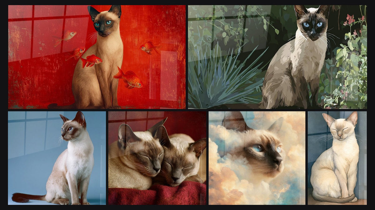 Mosaïque de six tableaux, dont Chat Tonkinois et Poissons Rouges, Chat Tonkinese aux Yeux Bleus et Chat Tonkinois Assis