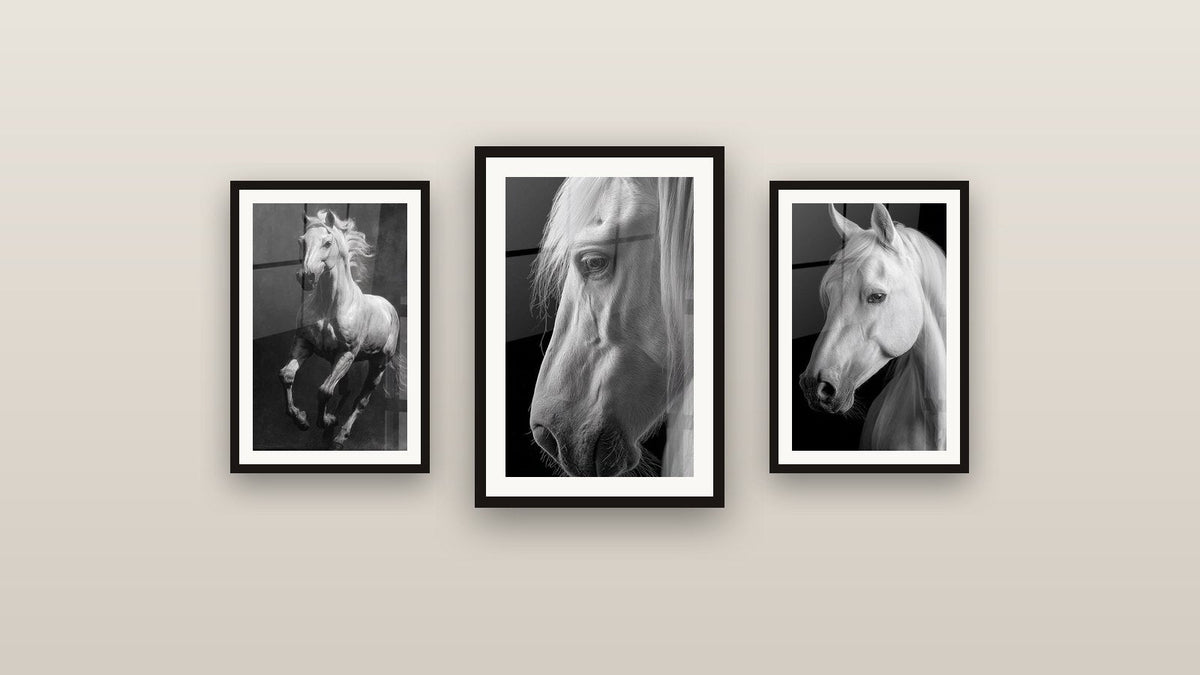 Mur de galerie avec trois tableaux encadrés : Cheval au Galop, Cheval Blanc et Cheval Blanc Portrait
