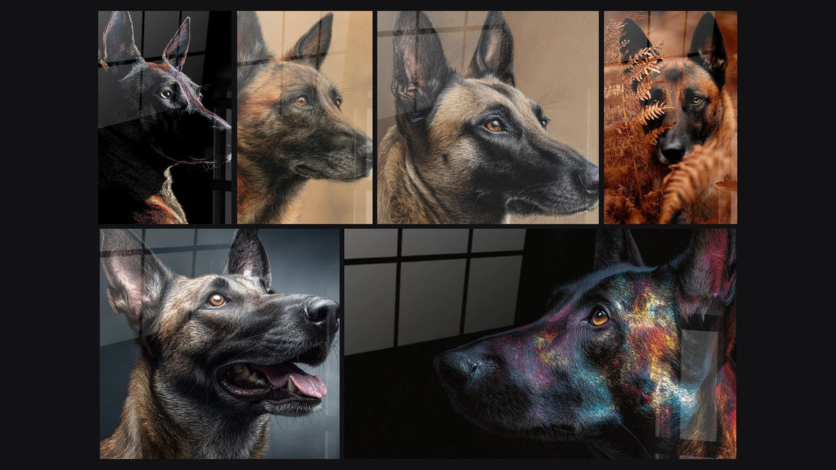 Mosaïque de six tableaux, dont Portrait de Chien aux Traits Colorés et Portrait de Profil aux Tons Fauve et Noir