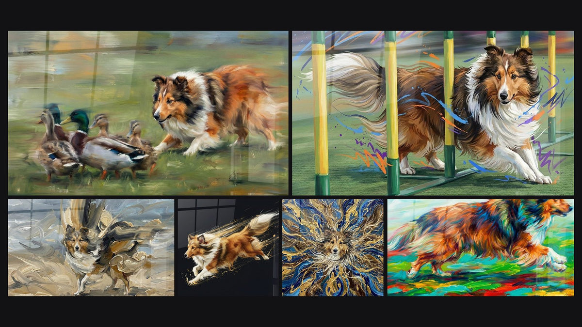 Mosaico di sei quadri, tra cui Pastore delle Shetland che Insegue Anatre e Shetland Sheepdog in Azione di Agilità