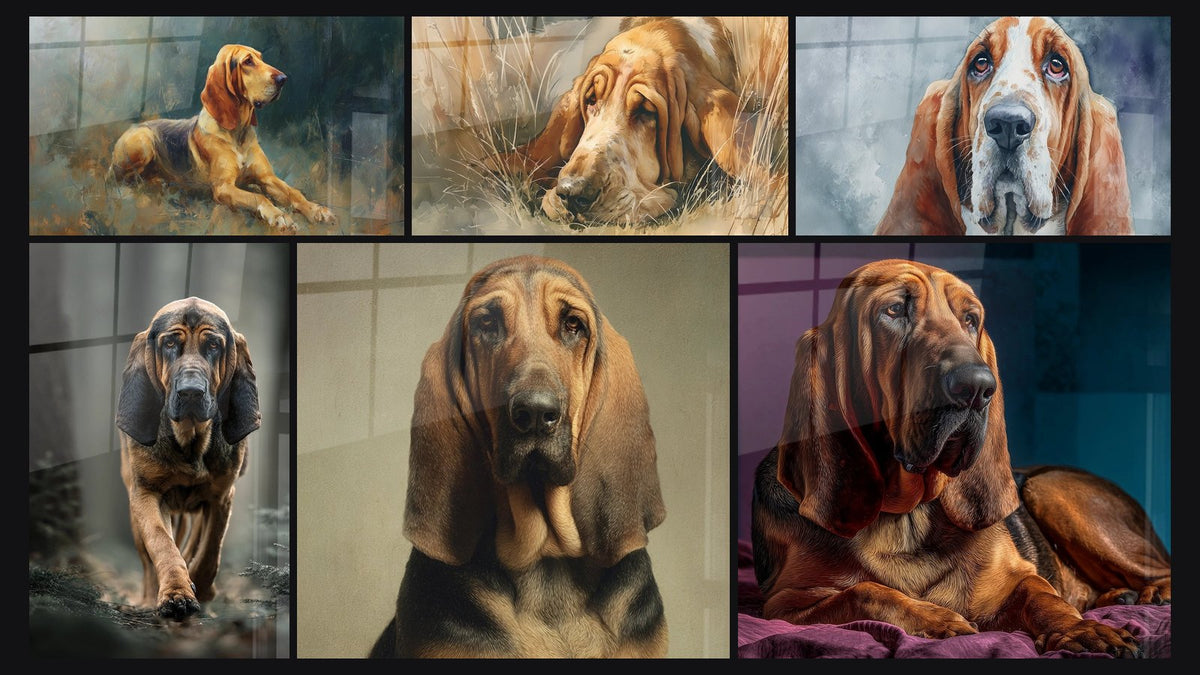 Mosaïque de six tableaux, dont Chien aux Yeux Mélancoliques sous la Pluie et Chien de Saint-Hubert en Mouvement