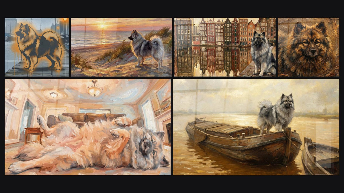 Mosaico de seis cuadros, entre ellos Keeshond con Tonos Dorados en Calle Urbana