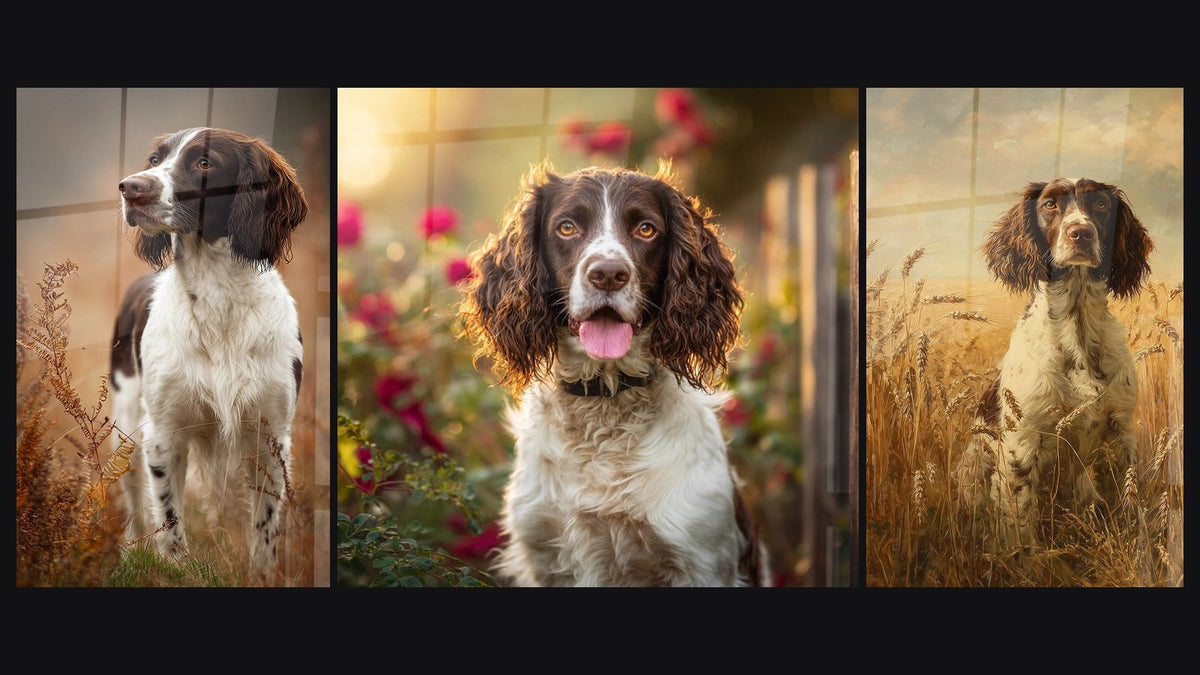Mozaïek van drie schilderijen, waaronder Hond met Gouden Ogen in een Bloeiende Tuin