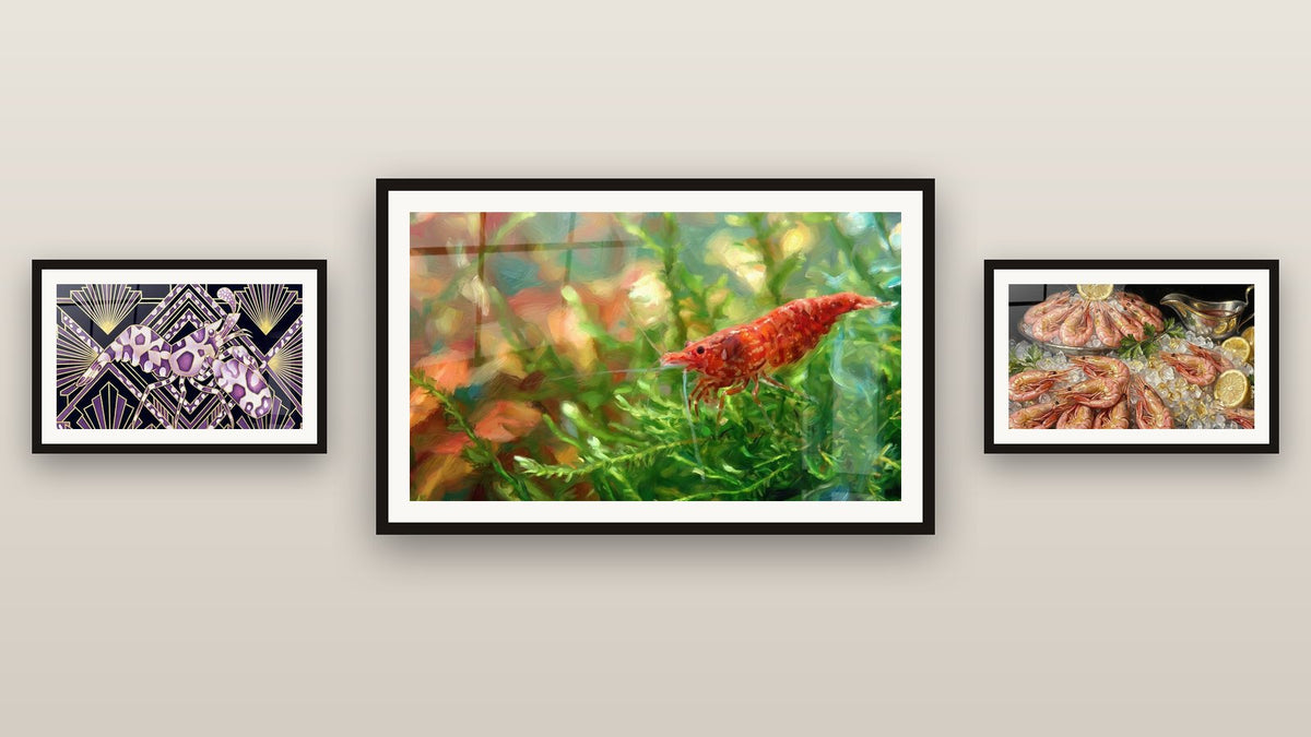 Mur de galerie avec trois tableaux encadrés, dont Crevette Art Déco Violet et Or et Crevette Rouge sur Fond Aquatique Végétal