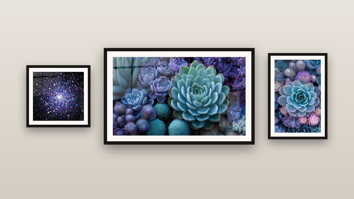 Gallery wall with three framed paintings