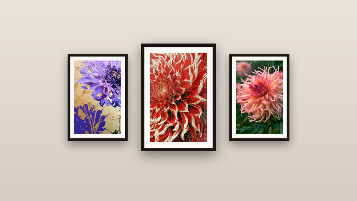 Mur de galerie avec trois tableaux encadrés, dont Dahlia rouge et blanc aux pétales flammés