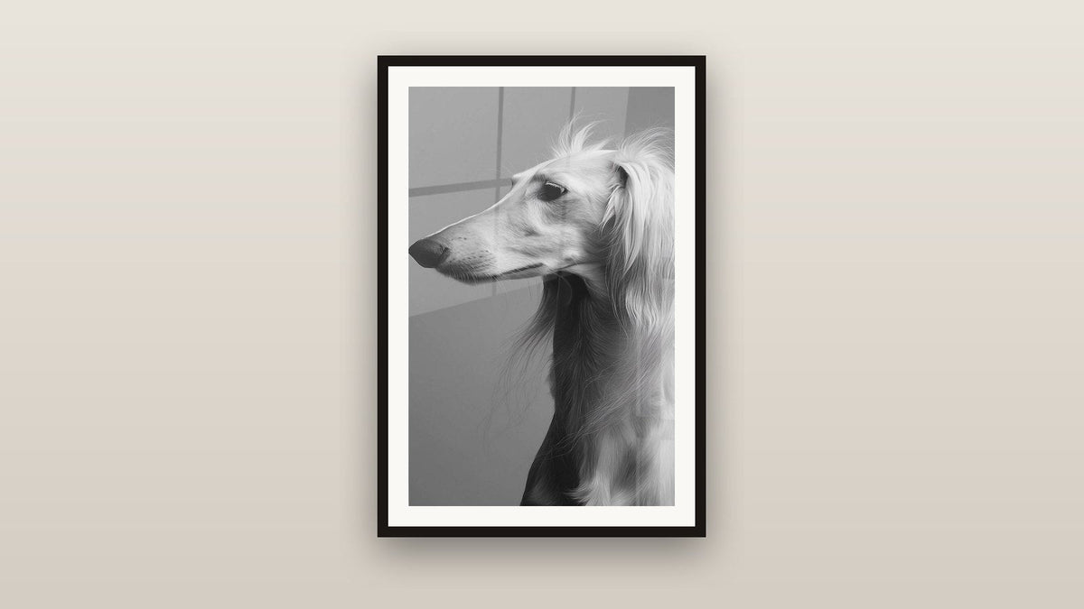 Tableau encadré sur un mur : Portrait de Lévrier en Noir et Blanc