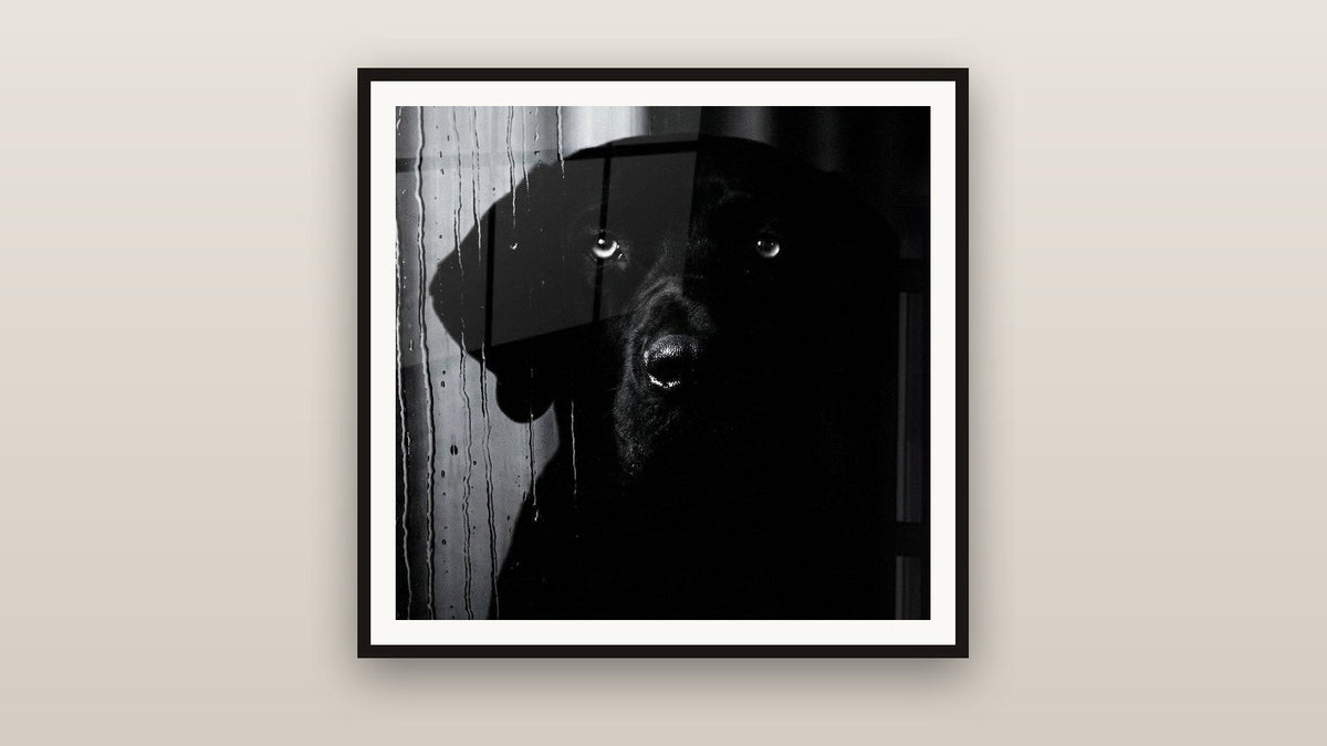 Tableau encadré sur un mur