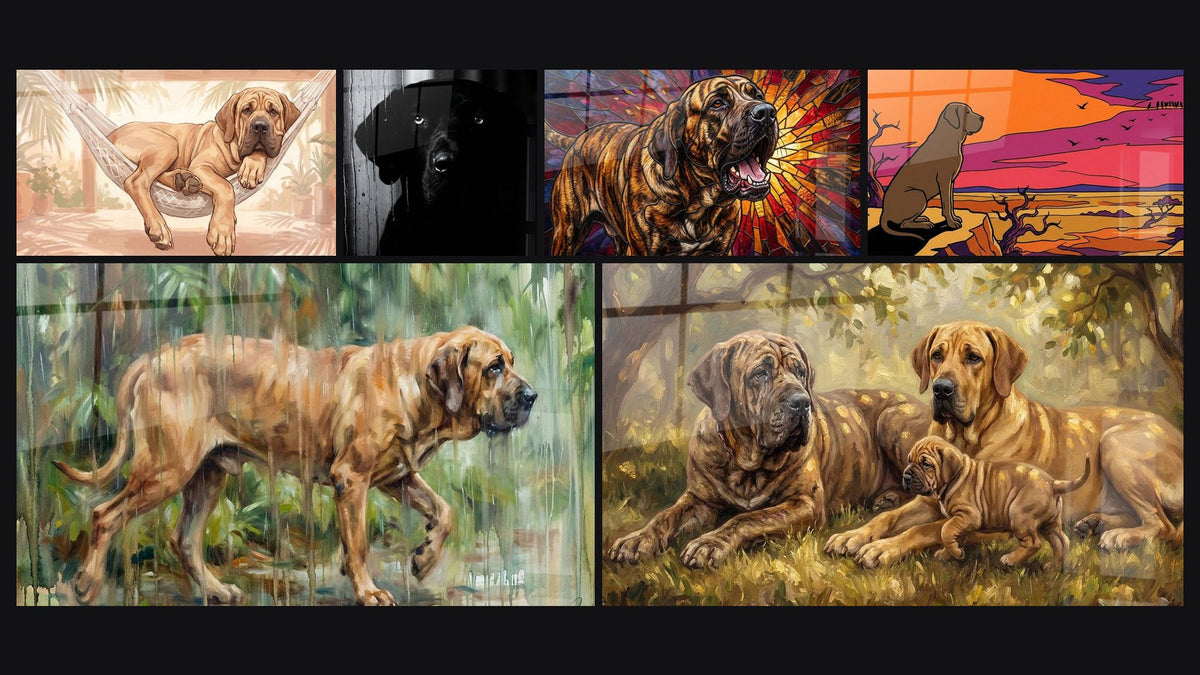 Mosaïque de six tableaux, dont Chien Fauve dans Hamac Tropical et Chien Tigré aux Rayons Colorés