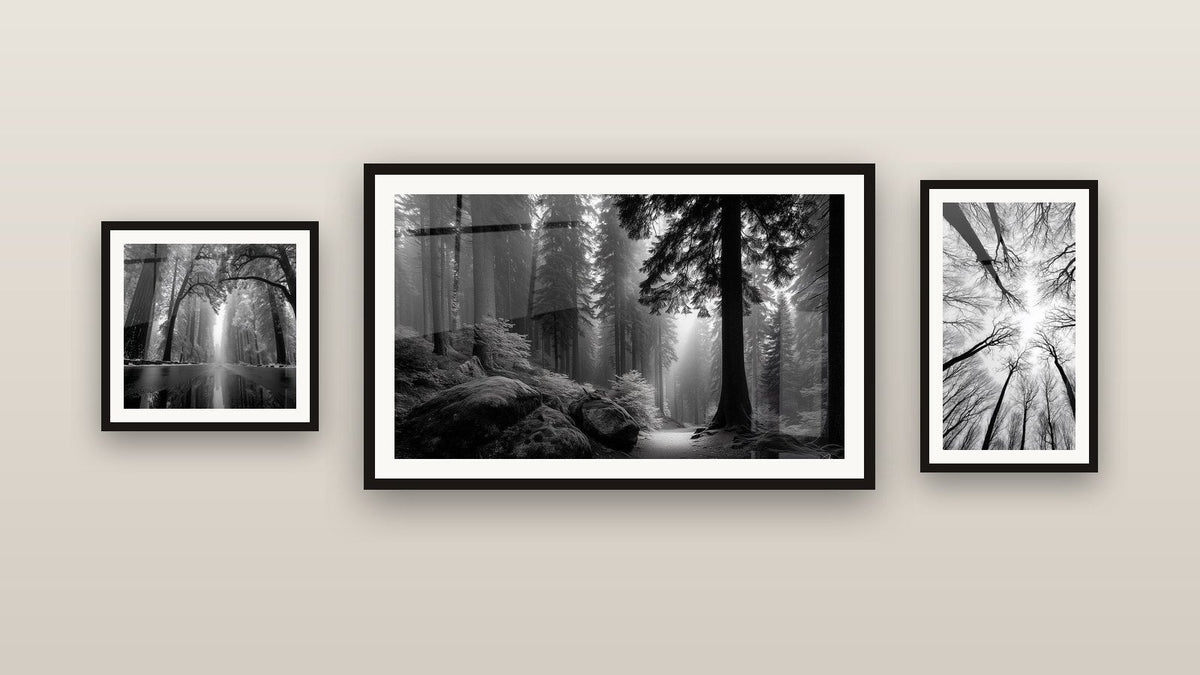 Mur de galerie avec trois tableaux encadrés : Forêt Brumeuse Noir et Blanc, Forêt Vue Plongée et Forêt Brume Matinale