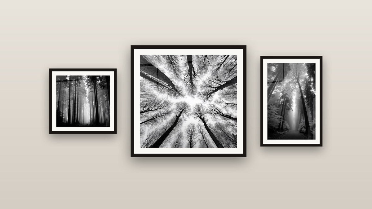 Pared de galería con tres cuadros enmarcados: Bosque Vista Panorámica, Bosque de Abetos en la Niebla y Rayos de Luz en Bosque