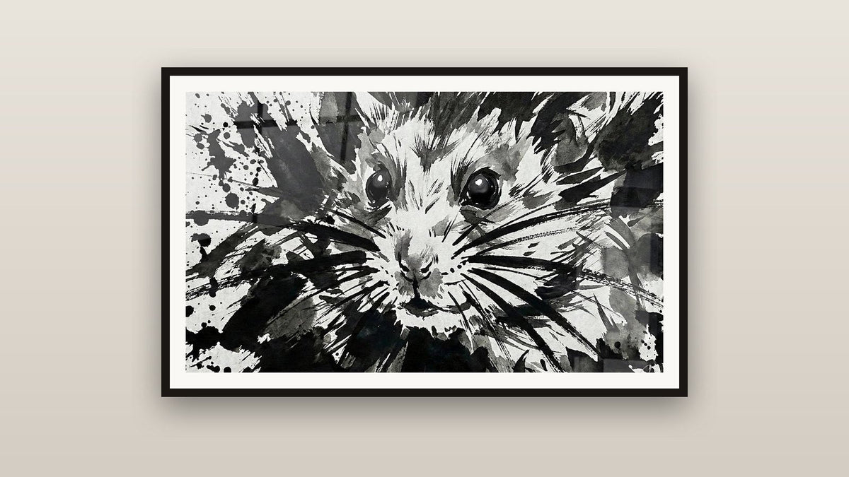 Tableau encadré sur un mur