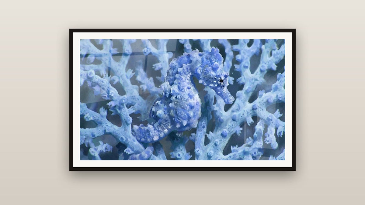 Framed painting on a wall: Majestic Blue Seahorse in Azure Corals