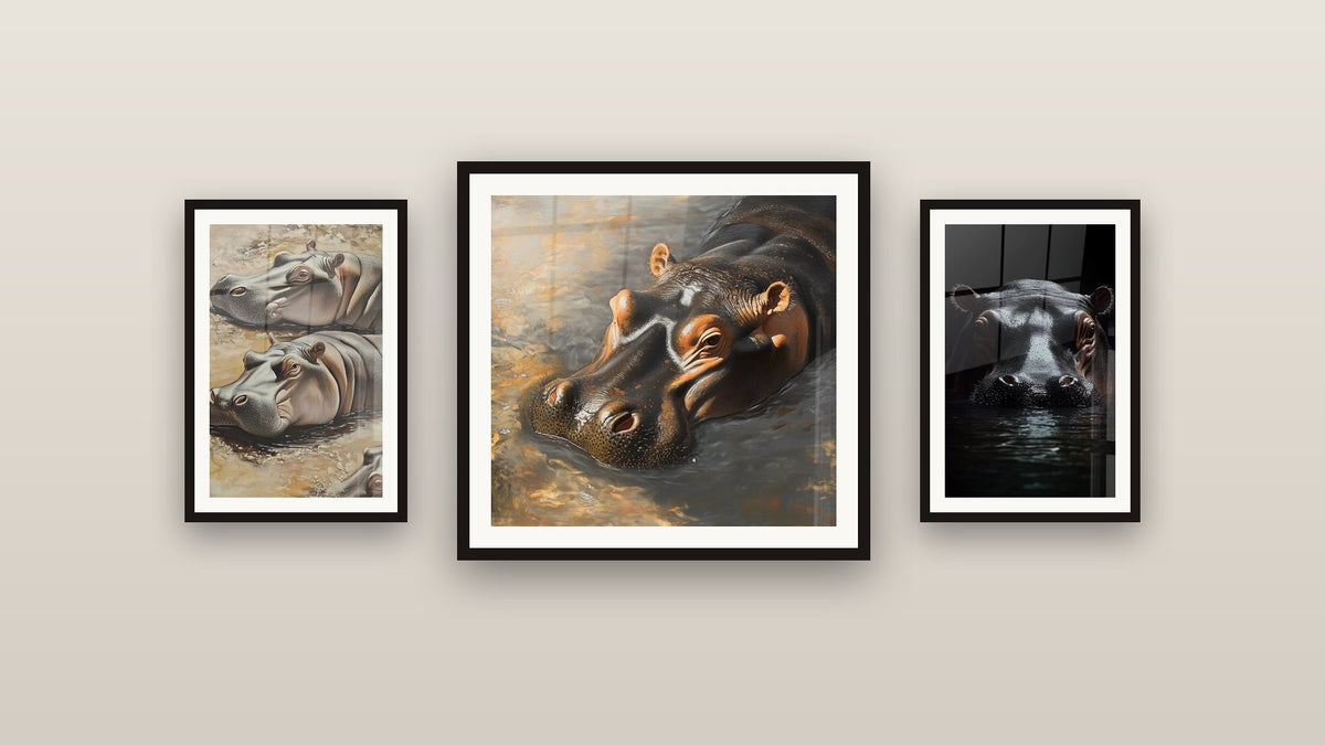 Mur de galerie avec trois tableaux encadrés, dont Hippopotame N°1 et Hippopotame Sérénité boueuse