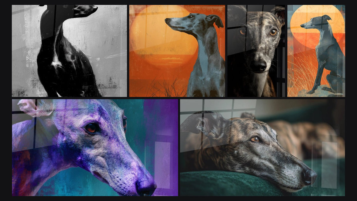 Mosaik aus sechs Gemälden, darunter Whippet Schwarz-Weiß künstlerisches Profil und Whippet-Kunsttafel bei Sonnenuntergang