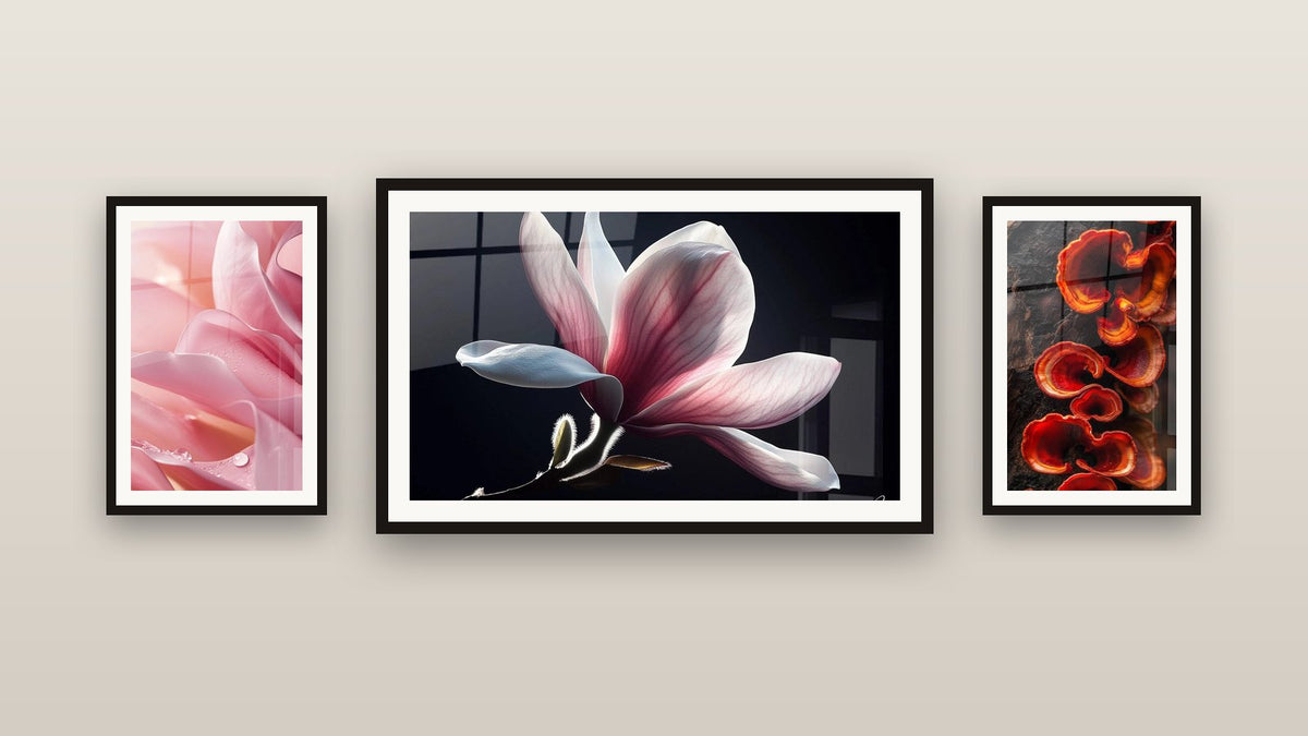Mur de galerie avec trois tableaux encadrés : Champignon N°2, Tulipe N°5 et Magnolia N°1