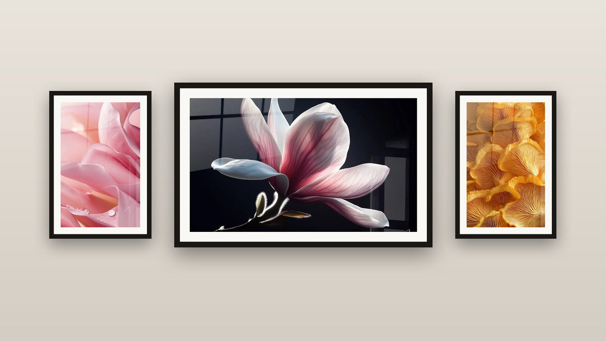 Mur de galerie avec trois tableaux encadrés : Champignon N°1, Tulipe N°5 et Magnolia N°1