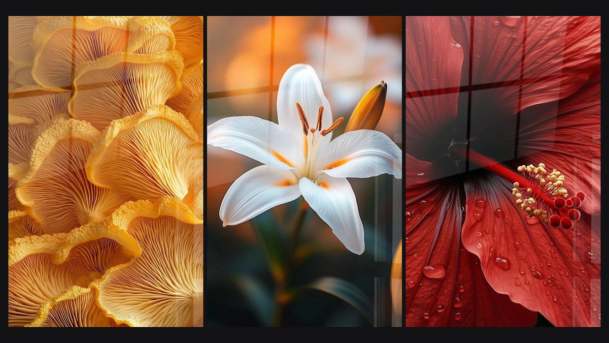 Mosaic of three paintings, including Lily Wall Art N°2 and Hibiscus Wall Art No. 2