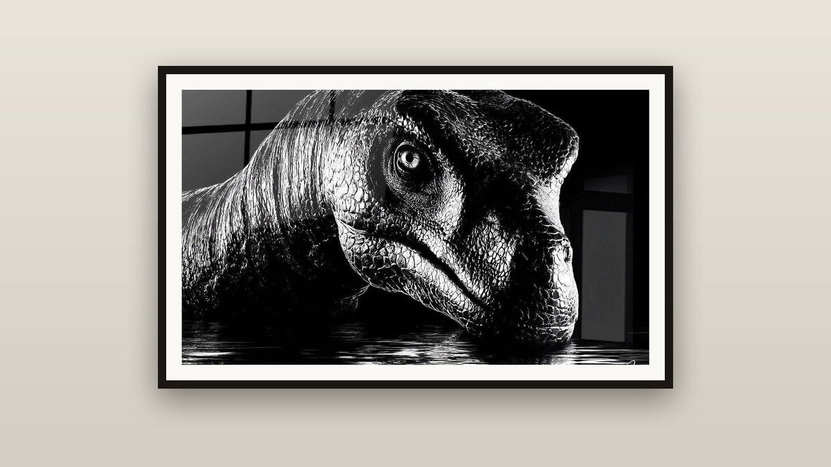 Quadro incorniciato su una parete: Dinosaurs Theropode