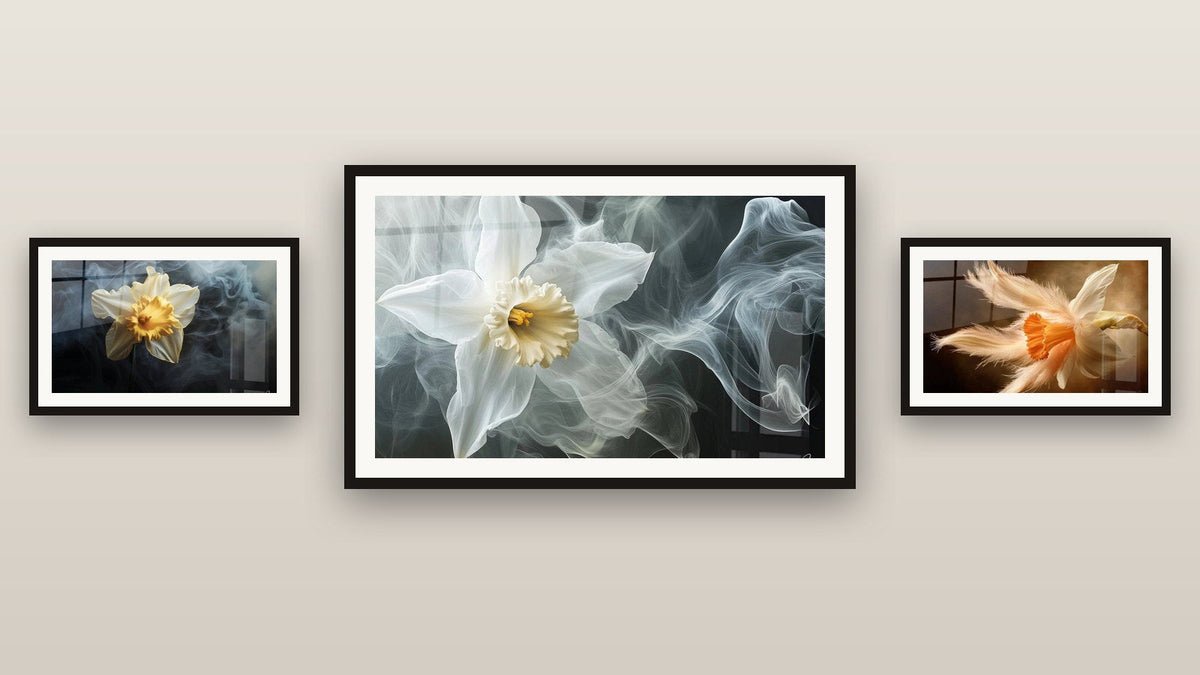 Mur de galerie avec trois tableaux encadrés : Narcisse N°2, Narcisse N°1 et Narcisse N°5