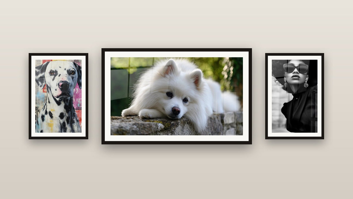 Mur de galerie avec trois tableaux encadrés, dont Chien Blanc Allongé sur Pierre Ancienne et Mode Luxury