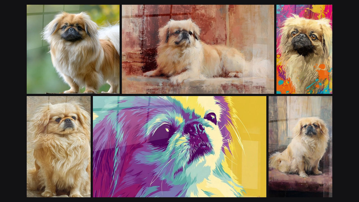 Mosaïque de six tableaux, dont Pékinois aux Longs Poils Dorés sur Tronc et Chien aux Poils Dorés Effet Pinceau