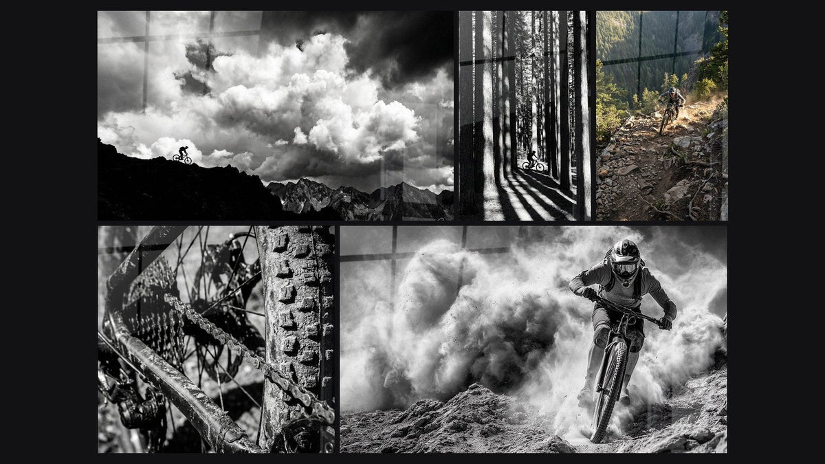 Mosaïque de cinq tableaux, dont VTT Montagne, VTT Transmission Boueuse et VTT en Forêt