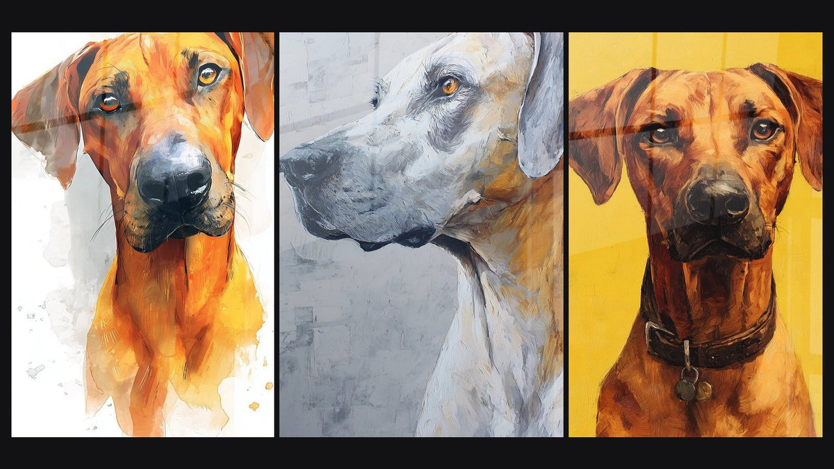 Mosaïque de trois tableaux, dont Portrait de Chien au Regard Noble et Chien Roux au Collier sur Fond Jaune Vif