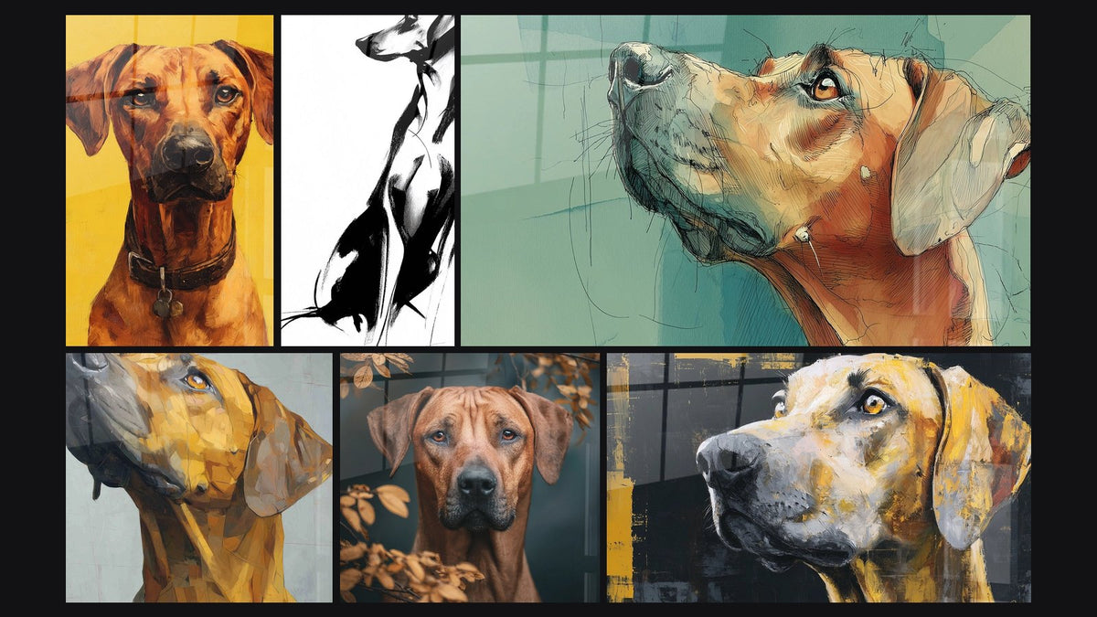 Mosaic of six paintings, including Golden Dog Wall Art with Expressive Gaze