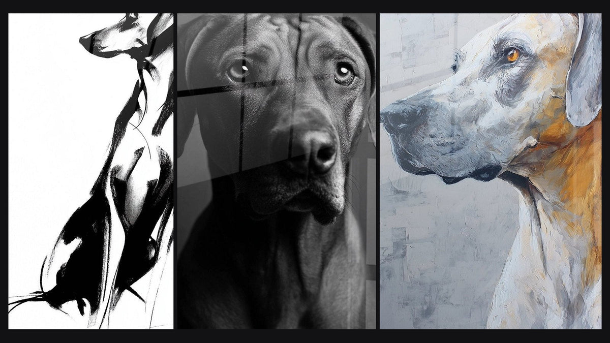 Mosaïque de trois tableaux, dont Chien Élancé Noir et Blanc en Portrait et Portrait Noir et Blanc Regard Expressif