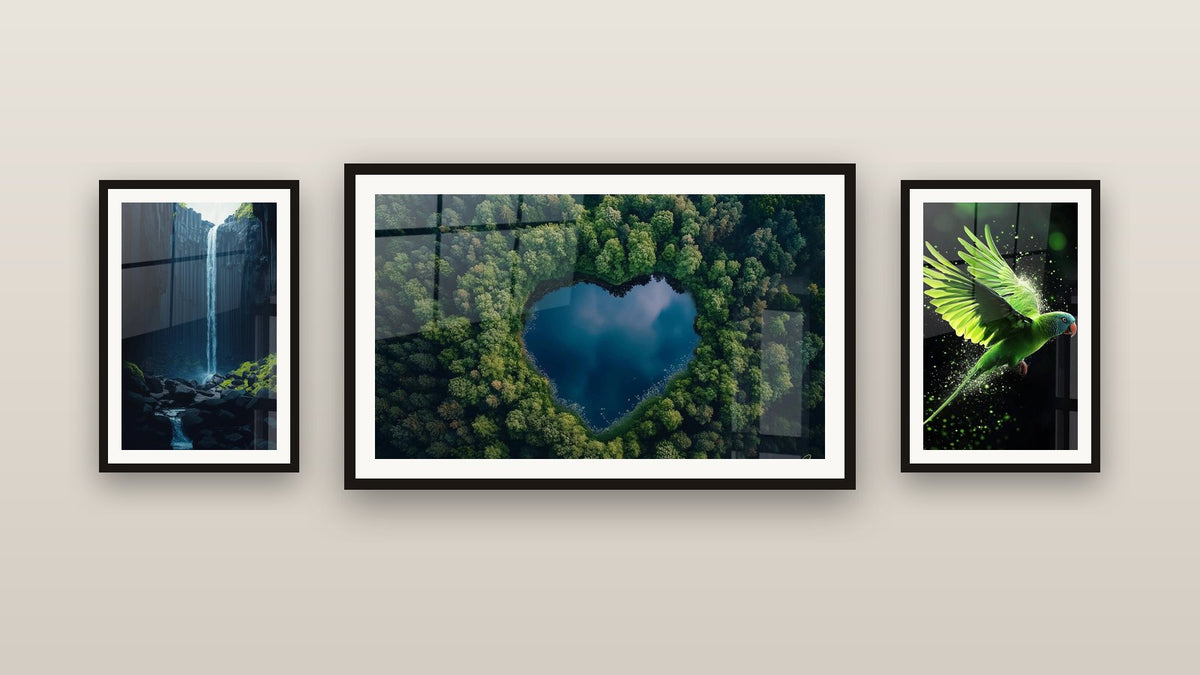 Mur de galerie avec trois tableaux encadrés : Perruche N°2, Cascade N°2 et Lac N°1
