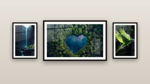 Pared de galería con tres cuadros enmarcados: Loro N°2, Cascada N°2 y Lago N°1