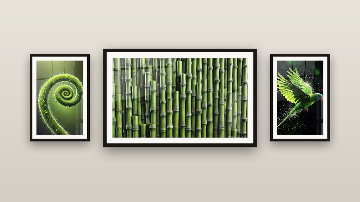 Mur de galerie avec trois tableaux encadrés : Spirale de Vie, Perruche N°2 et Lignes de Nature